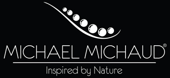Michael Michaud Trade